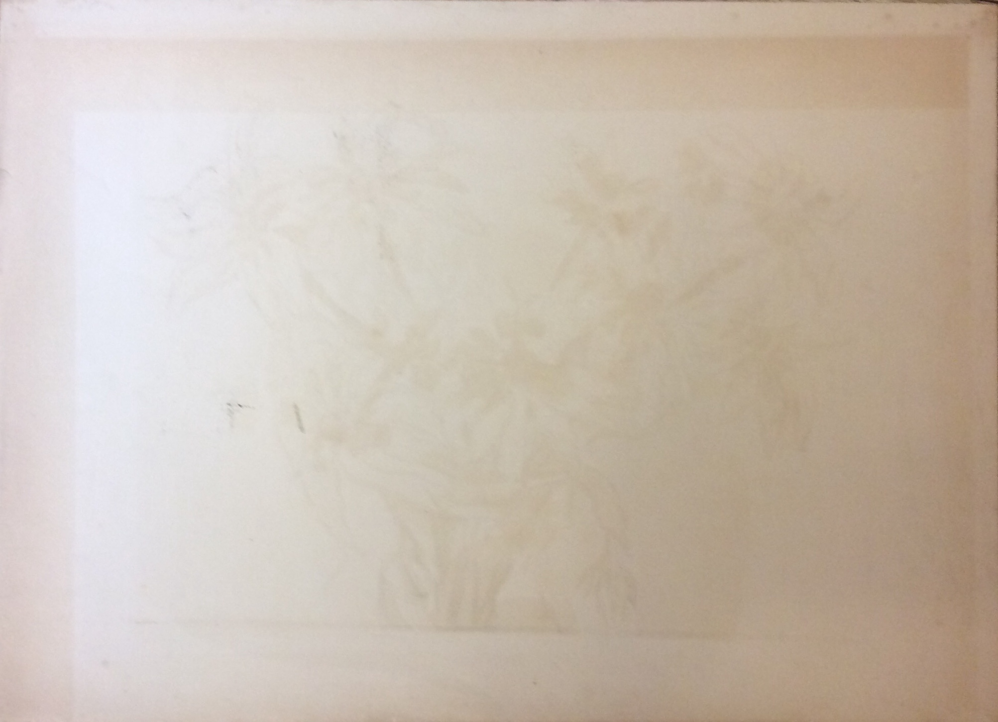 Оборот. Асламазян Мариам Аршаковна. Натюрморт