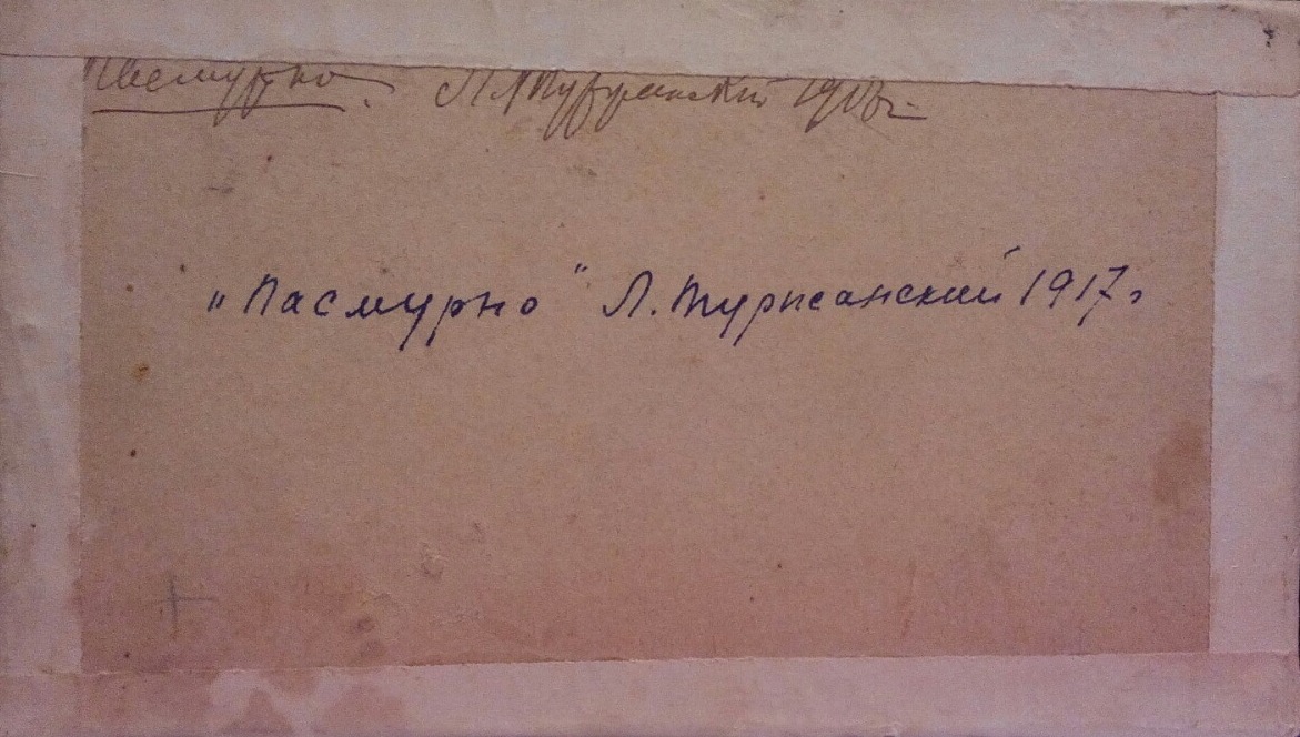 Оборот. Туржанский Леонард Викторович. Пасмурно. Оборот. Туржанский Леонард Викторович. Пасмурно.