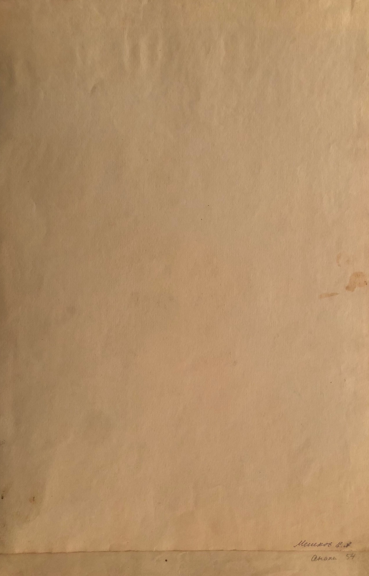 Оборот. Мешков Евгений Алексеевич. Анапа. Виноград у окна