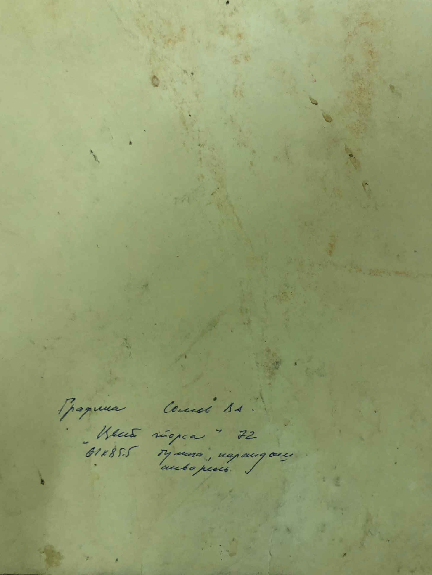 Оборот. Сомов Владимир Александрович. Цвет торса Оборот. Сомов Владимир Александрович. Цвет торса