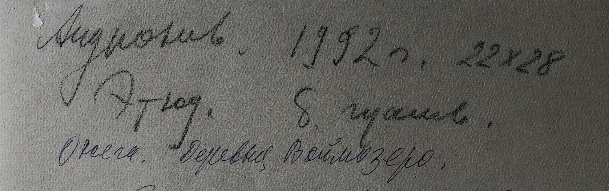 Оборот. Андронов Николай Иванович. Онега. Деревня Воймозер