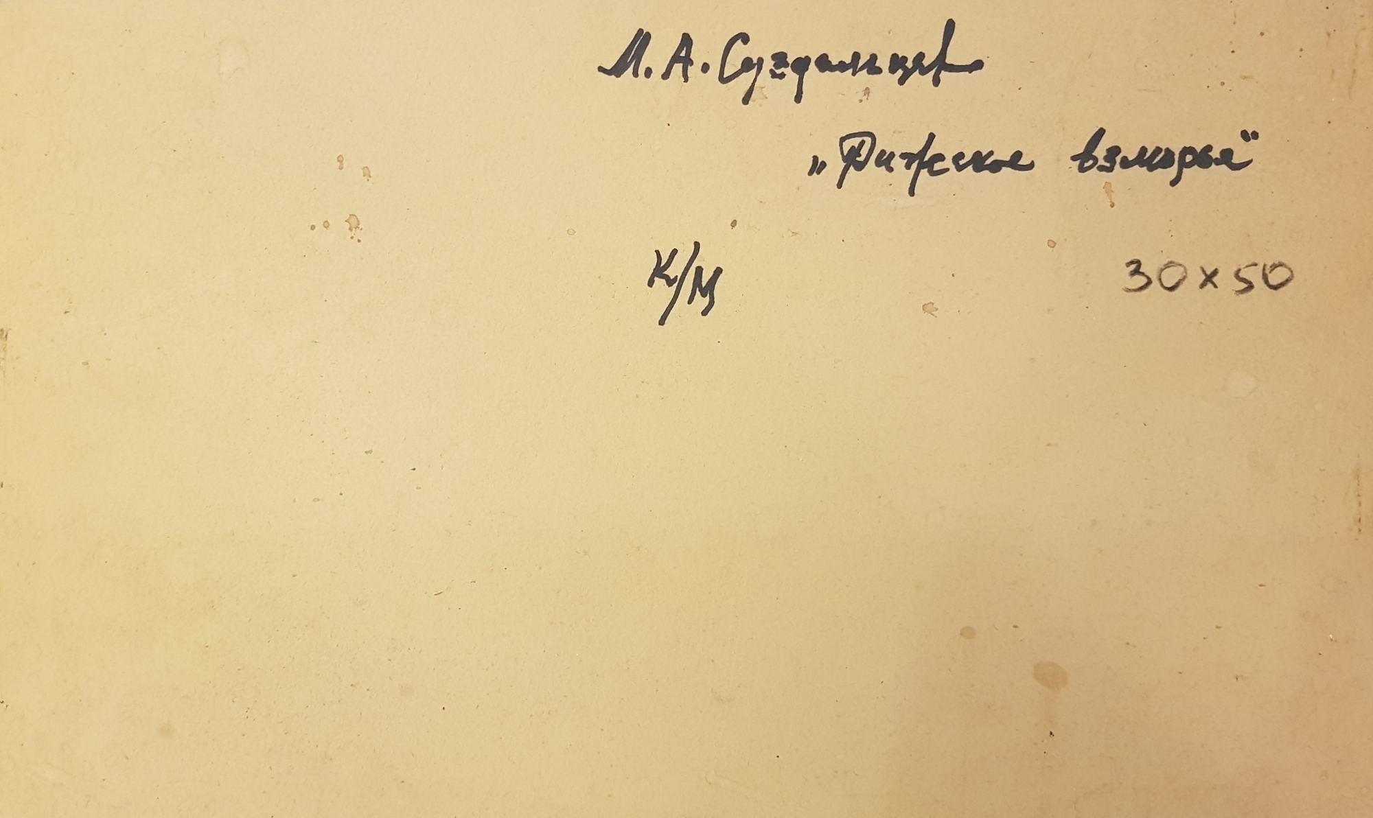 Оборот. Суздальцев Михаил Аркадьевич. Рижское взморье Оборот. Суздальцев Михаил Аркадьевич. Рижское взморье