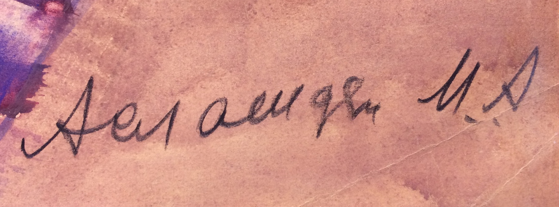 Подпись. Асламазян Мариам Аршаковна. Ананасы. Подпись. Асламазян Мариам Аршаковна. Ананасы.