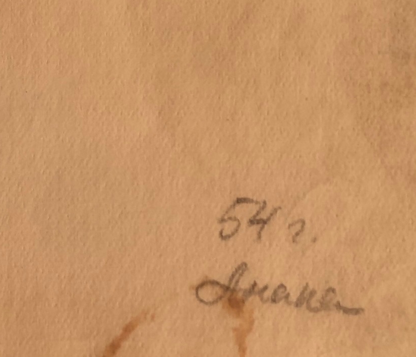 Подпись. Мешков Евгений Алексеевич. Анапа. Виноград у окна