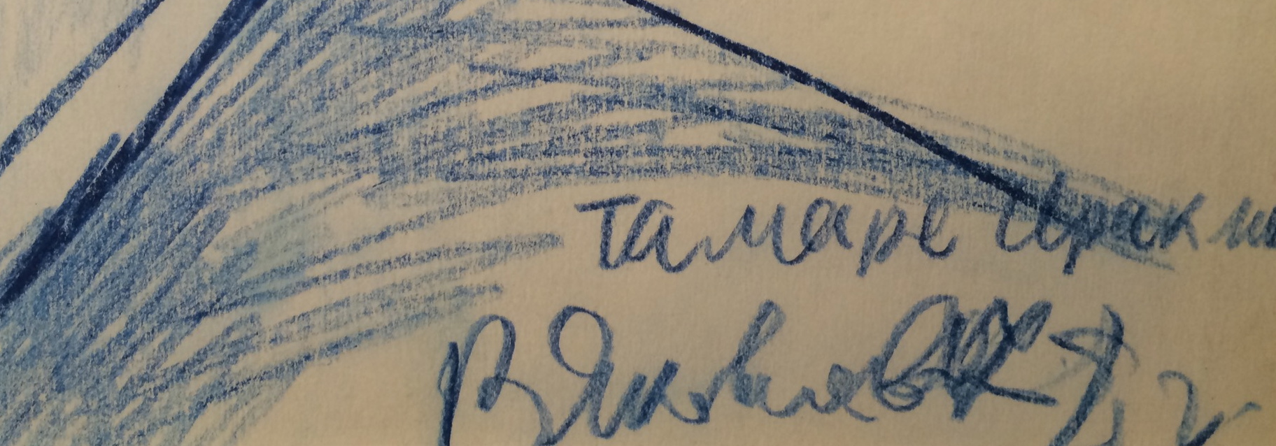 Подпись. Яковлев Владимир Игоревич. Тамара. Подпись. Яковлев Владимир Игоревич. Тамара.