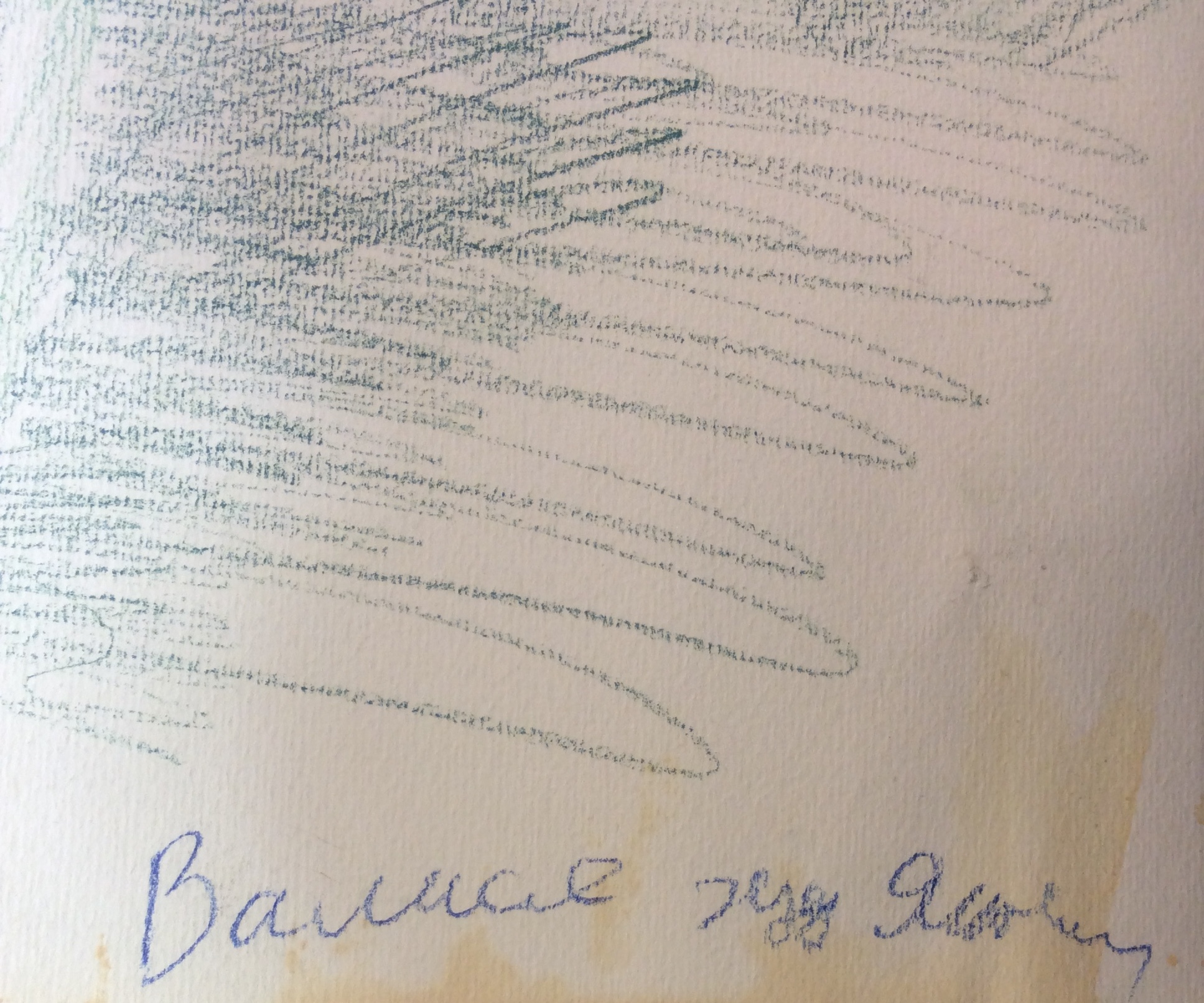 Подпись. Яковлев Владимир Игоревич. Цветок. Подпись. Яковлев Владимир Игоревич. Цветок.