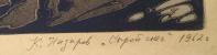 Подпись. Назаров Константин Борисович. Сырой снег