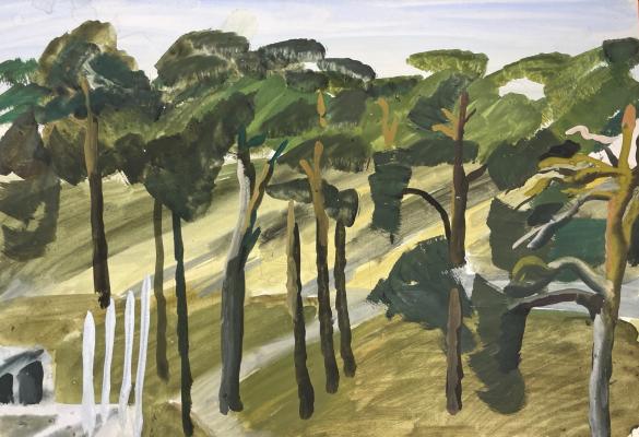 Рожнев Владислав Валентинович. Сосны