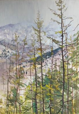 Саханов Александр Иванович. В горах Тувы