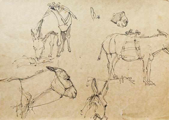 Зверев Анатолий Тимофеевич. Осел