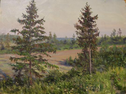 Кибардин Георгий Владимирович. Пейзаж с елями