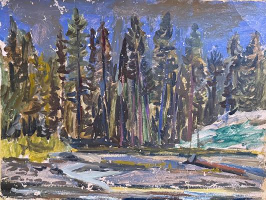 Мотовилов Андрей Георгиевич. Абакан. Устье реки Куннзы