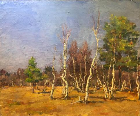 Кончаловский Михаил Петрович. Ранняя весна