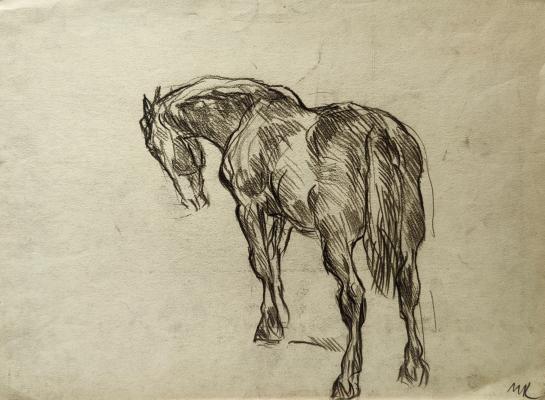 Кончаловский Михаил Петрович. Лошадь. 185