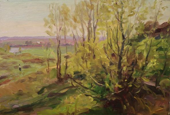 Васин Владимир Алексеевич. Молодая зелень