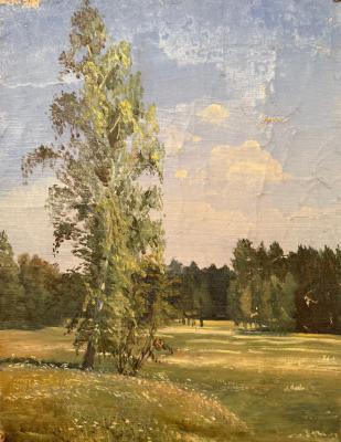 Котов Николай Георгиевич. Летний пейзаж