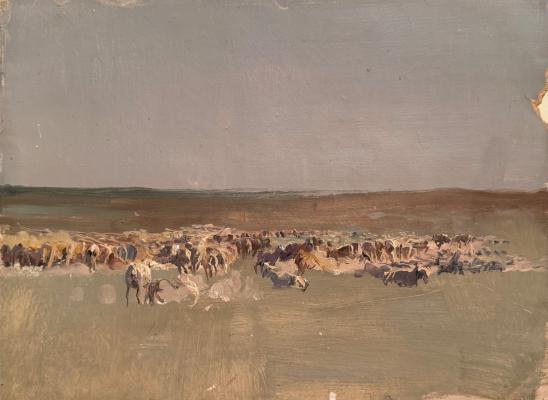 Котов Николай Георгиевич. Овцы на пастбище