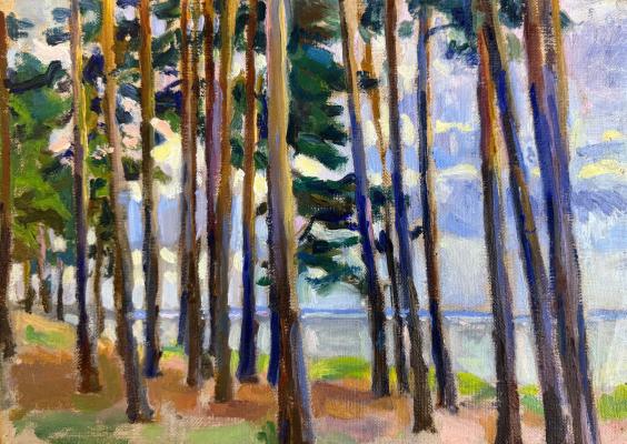 Костенко Константин Евтихиевич. Сосновый лес