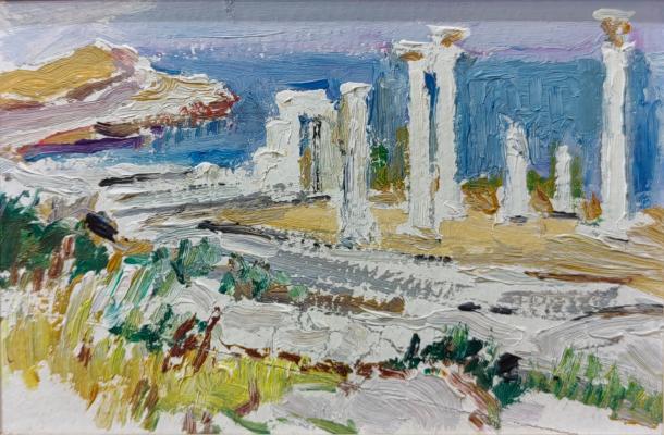 Цветкова Валентина Петровна. Херсонес