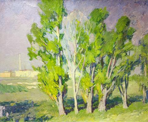 Солоницын Аркадий Павлович. Окраина