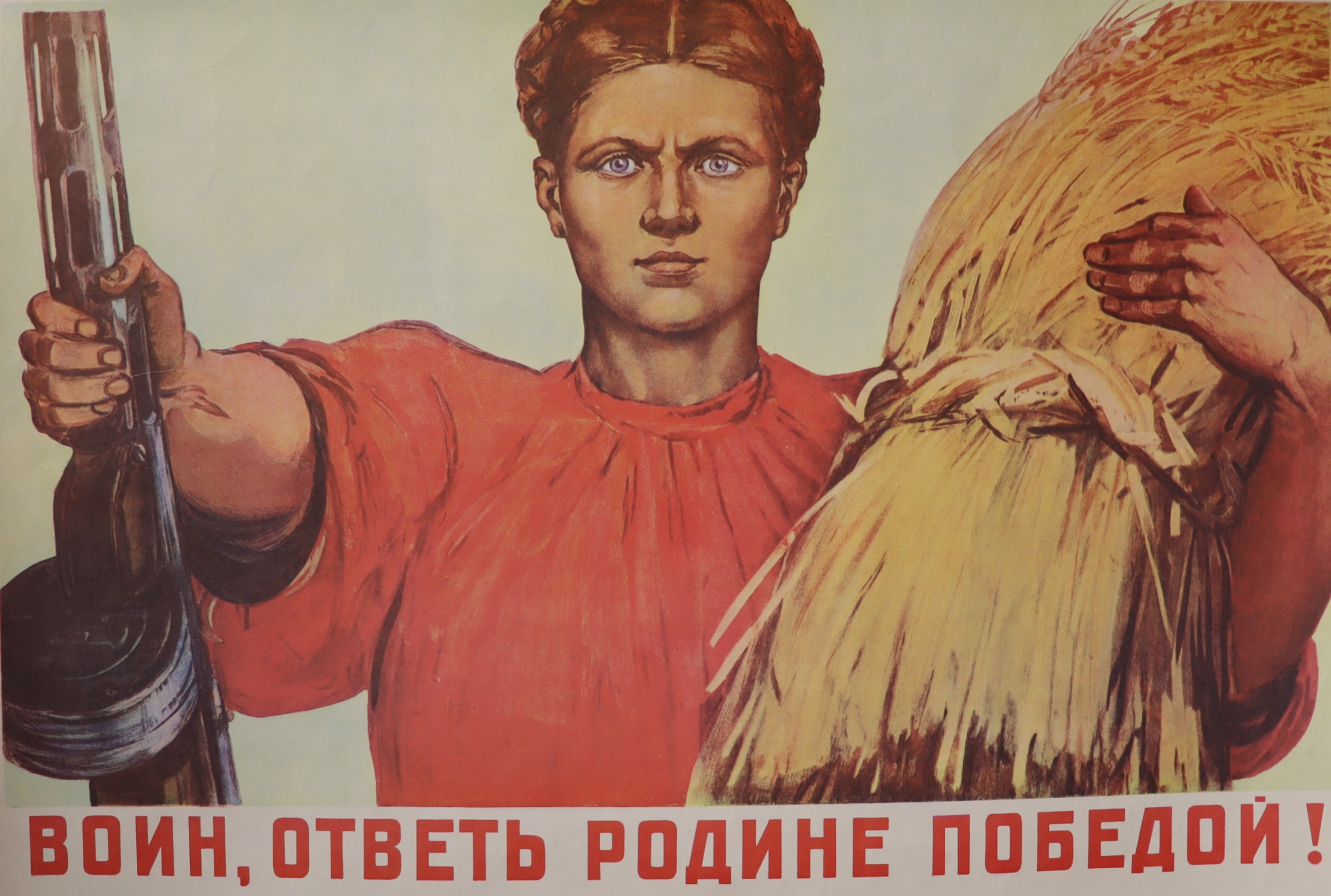 Шмаринов Дементий Алексеевич. Воин, ответь Родине победой!