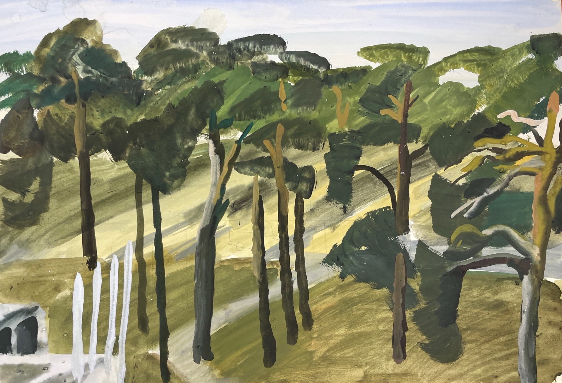 Рожнев Владислав Валентинович. Сосны