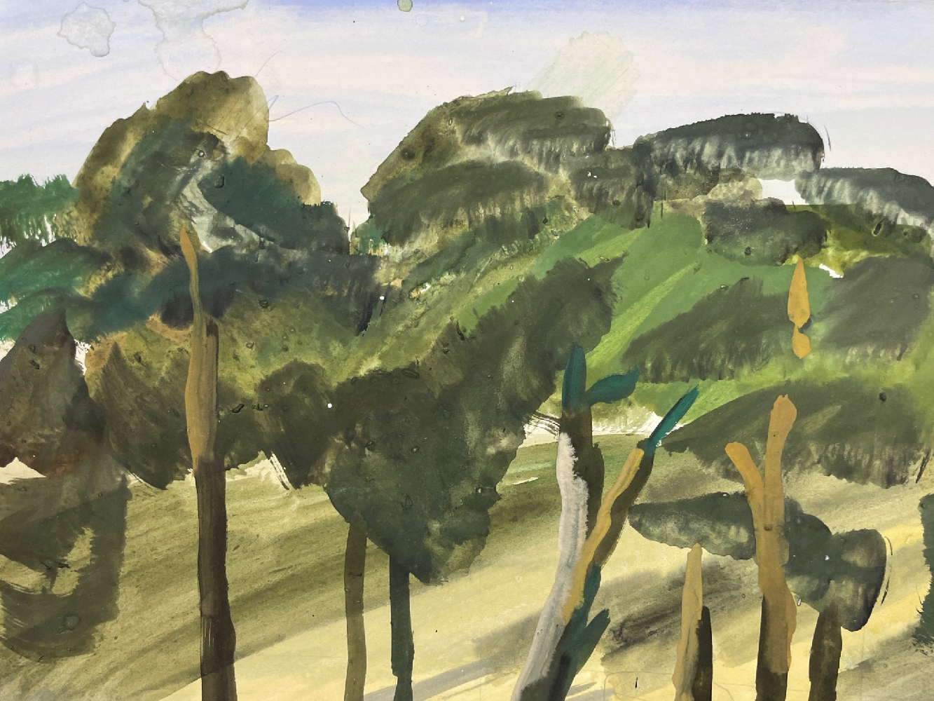 Рожнев Владислав Валентинович. Сосны