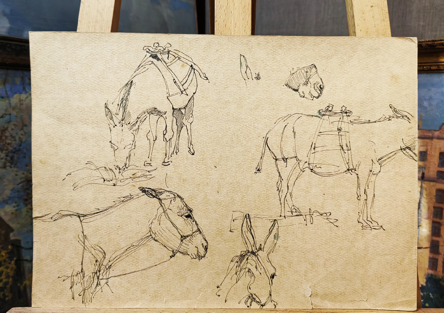 Зверев Анатолий Тимофеевич. Осел