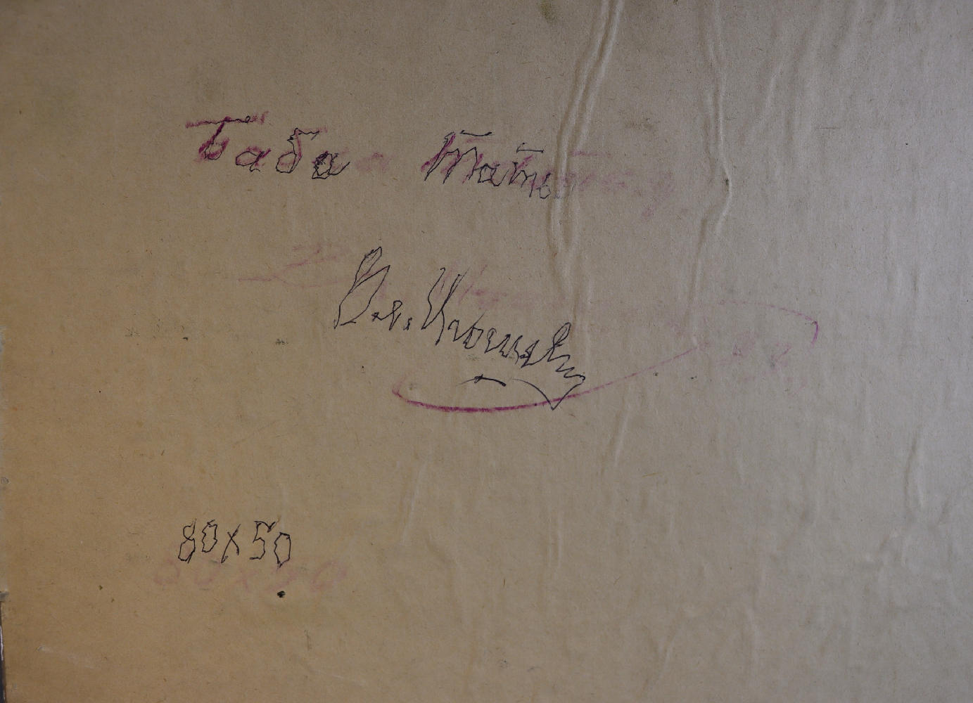 Игошев Владимир Александрович. Баба Татьяна