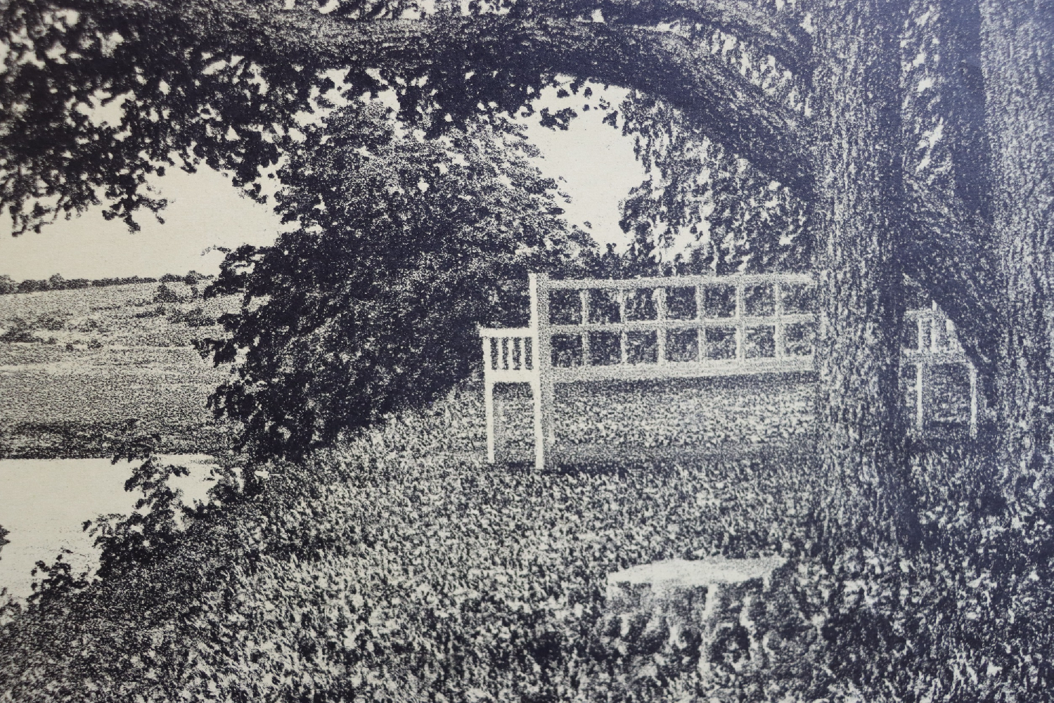 Ванеев Петр Иванович. Пушкинские места.Тригорское.Скамья Онегина