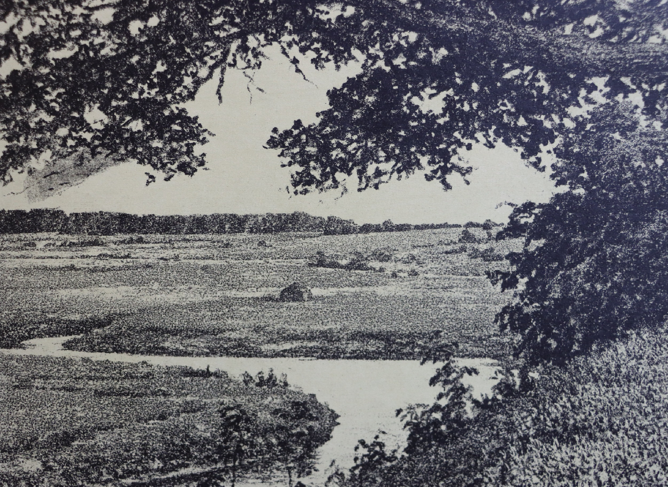 Ванеев Петр Иванович. Пушкинские места.Тригорское.Скамья Онегина
