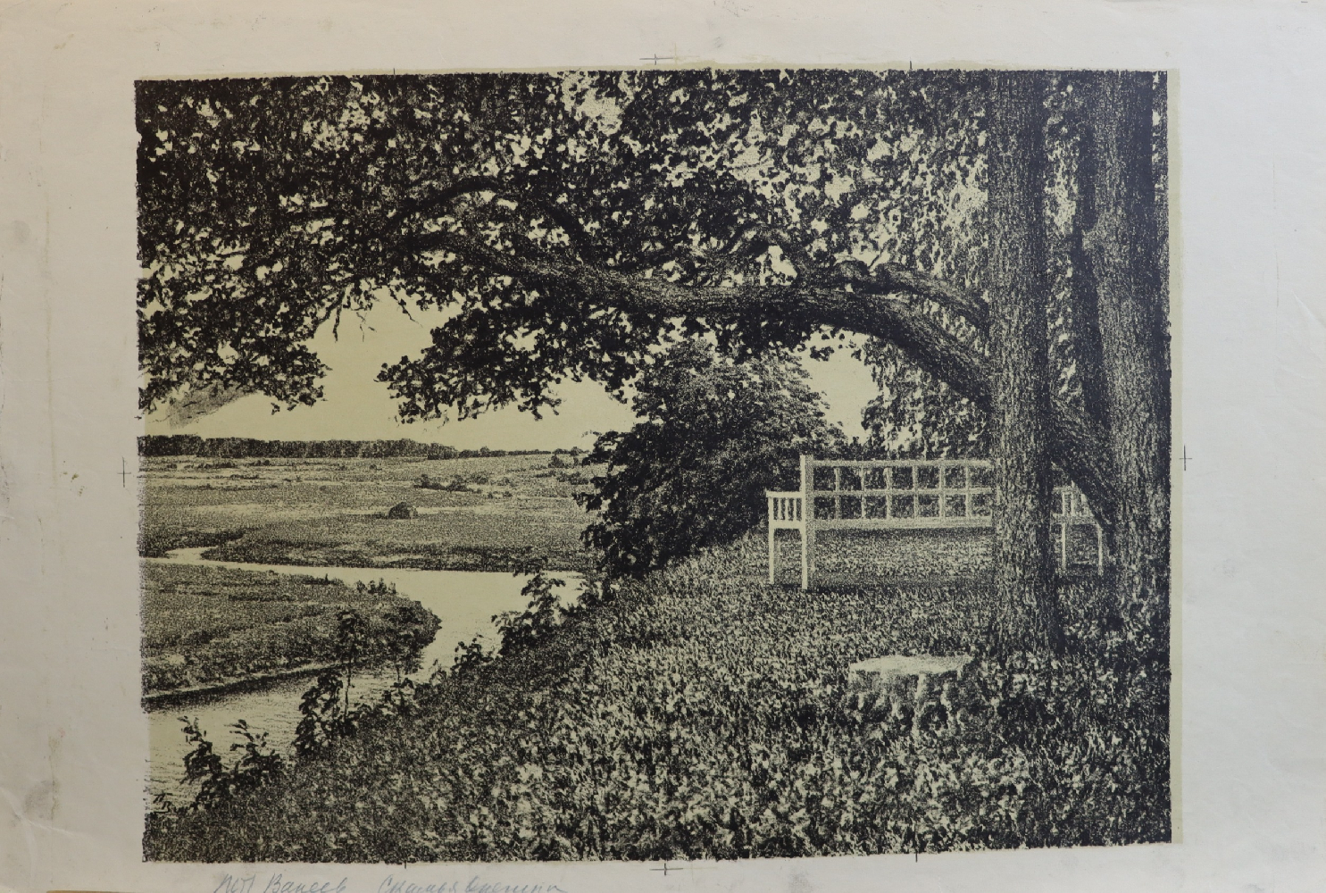 Ванеев Петр Иванович. Пушкинские места.Тригорское.Скамья Онегина