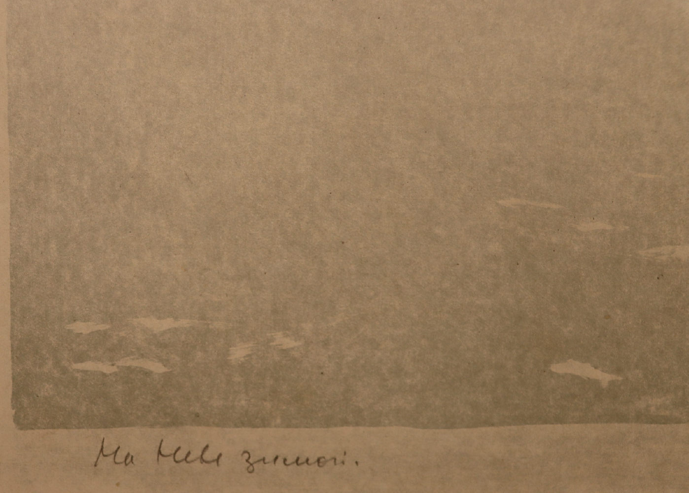 Ванеев Петр Иванович. Ленинград. На лыжах по Неве.