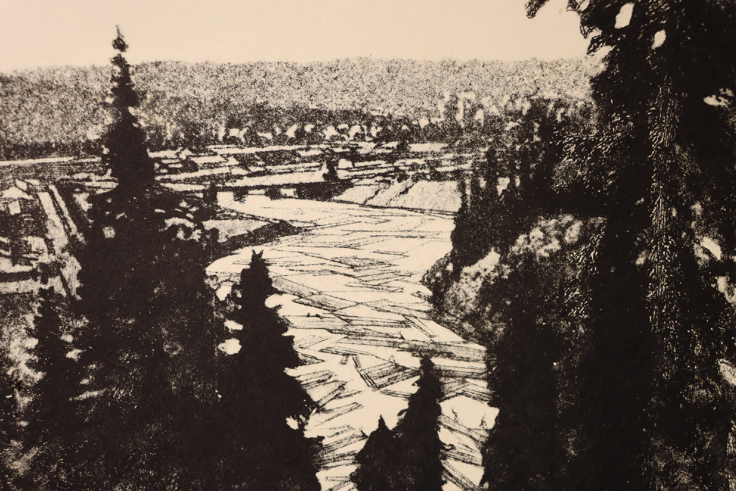 Ванеев Петр Иванович. Саяны. Корабельный лес.