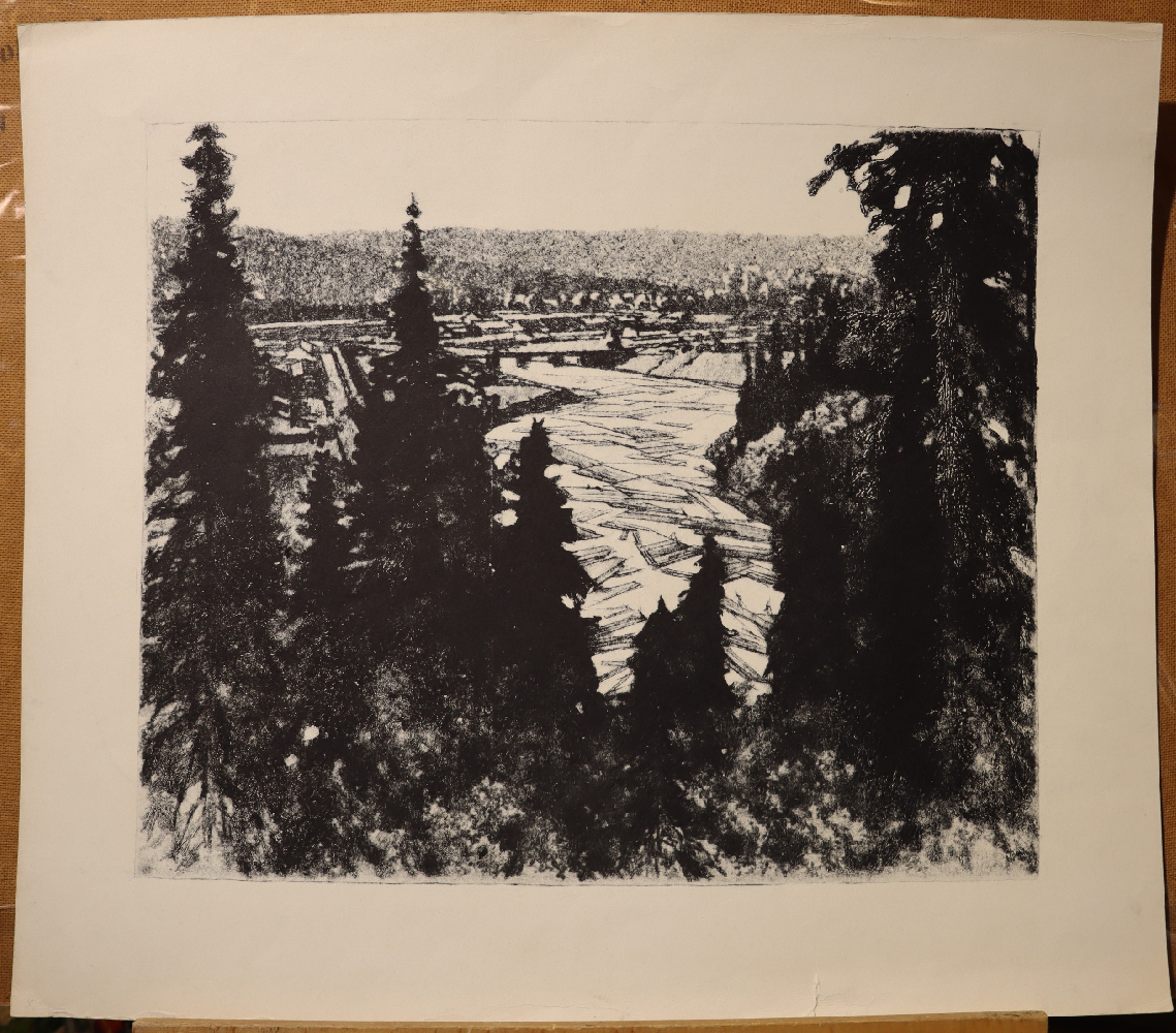 Ванеев Петр Иванович. Саяны. Корабельный лес.