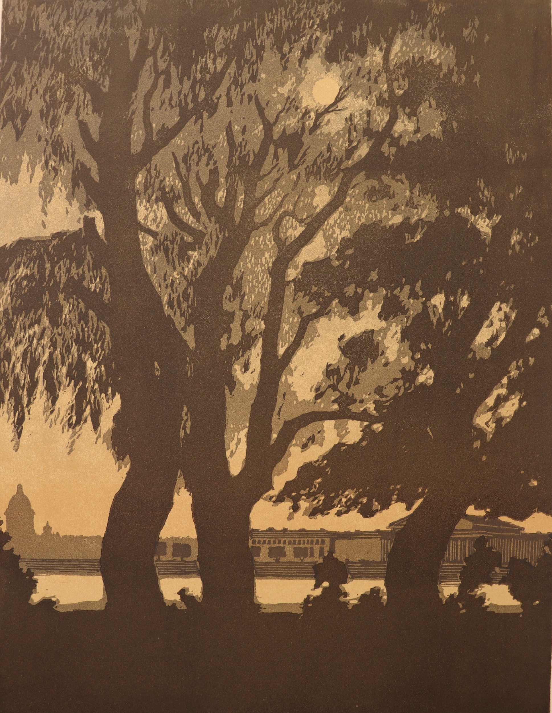 Ванеев Петр Иванович. Ленинград. Белая ночь