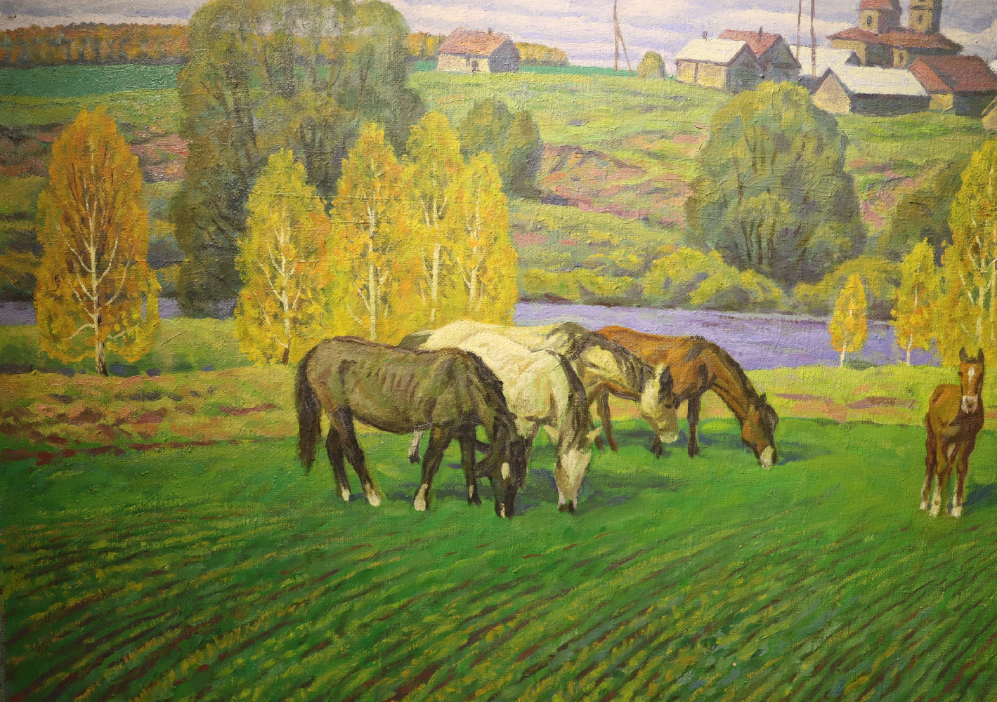 Павликов Михаил Владимирович. Кони