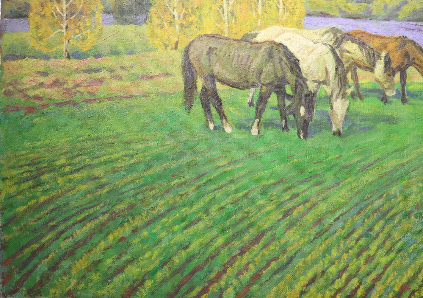 Павликов Михаил Владимирович. Кони