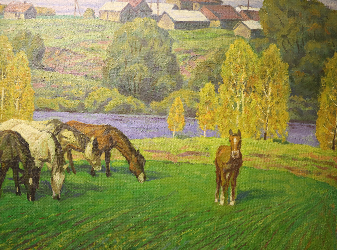 Павликов Михаил Владимирович. Кони