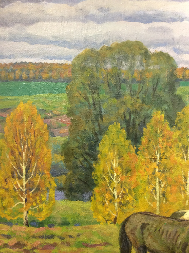 Павликов Михаил Владимирович. Кони