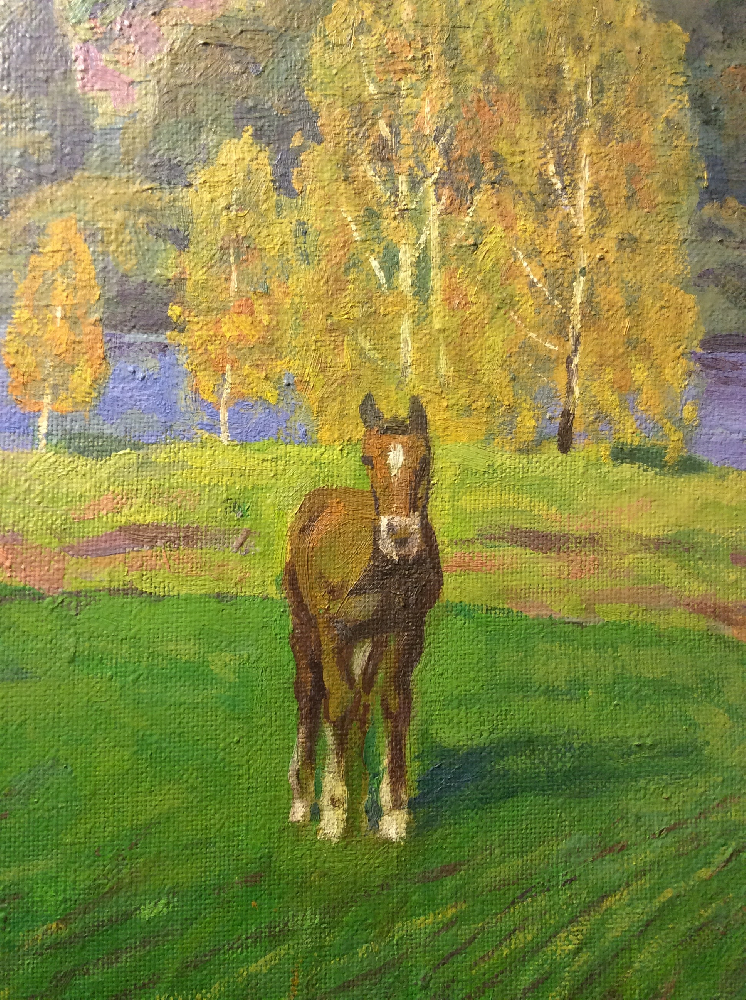 Павликов Михаил Владимирович. Кони