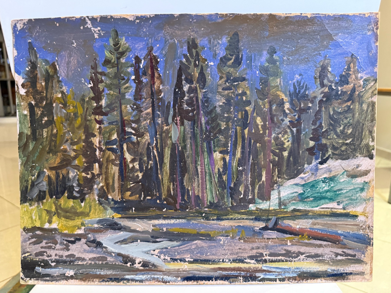 Мотовилов Андрей Георгиевич. Абакан. Устье реки Куннзы