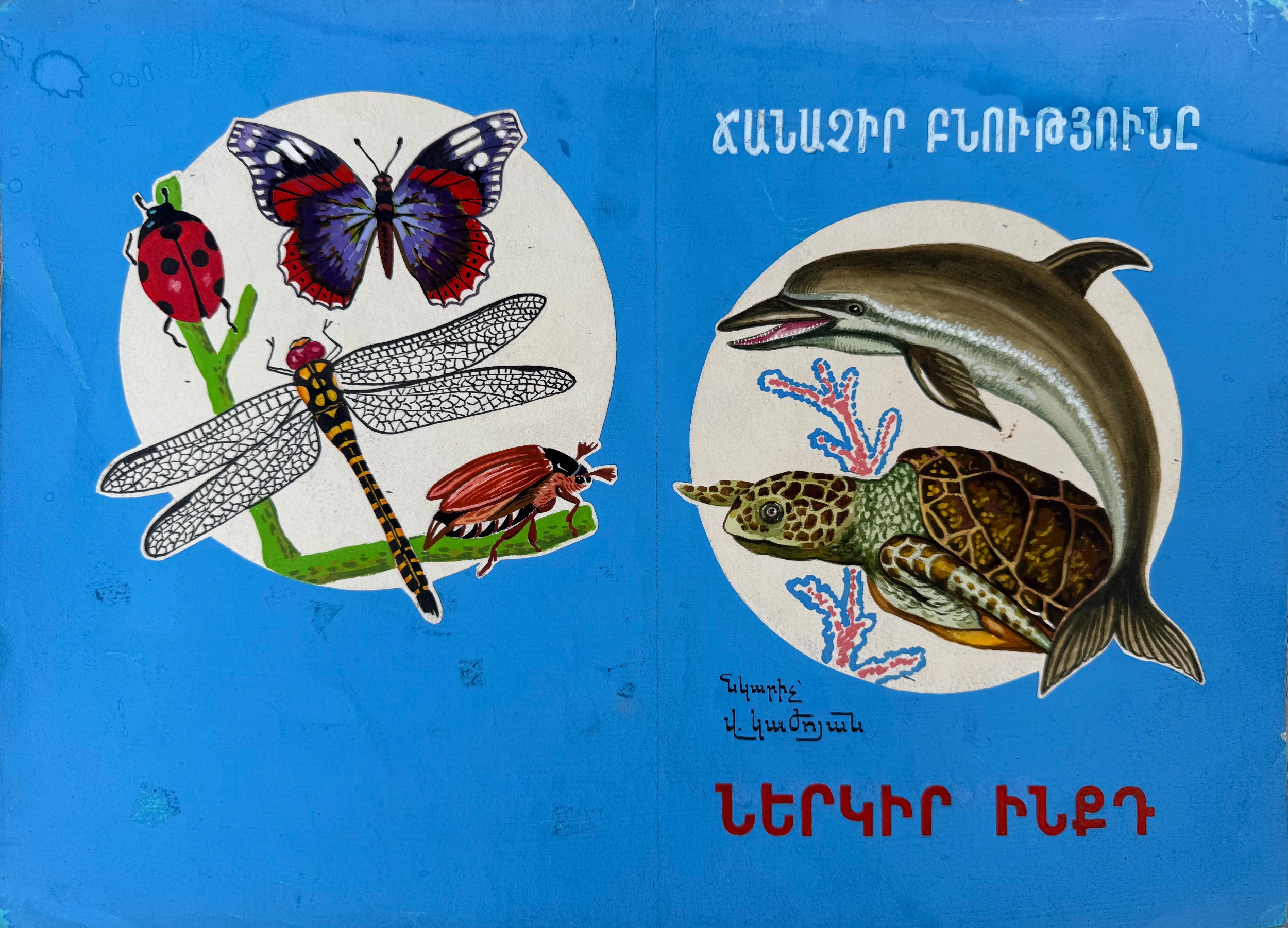 Кажоян Ваган Аветикович. Нет названия