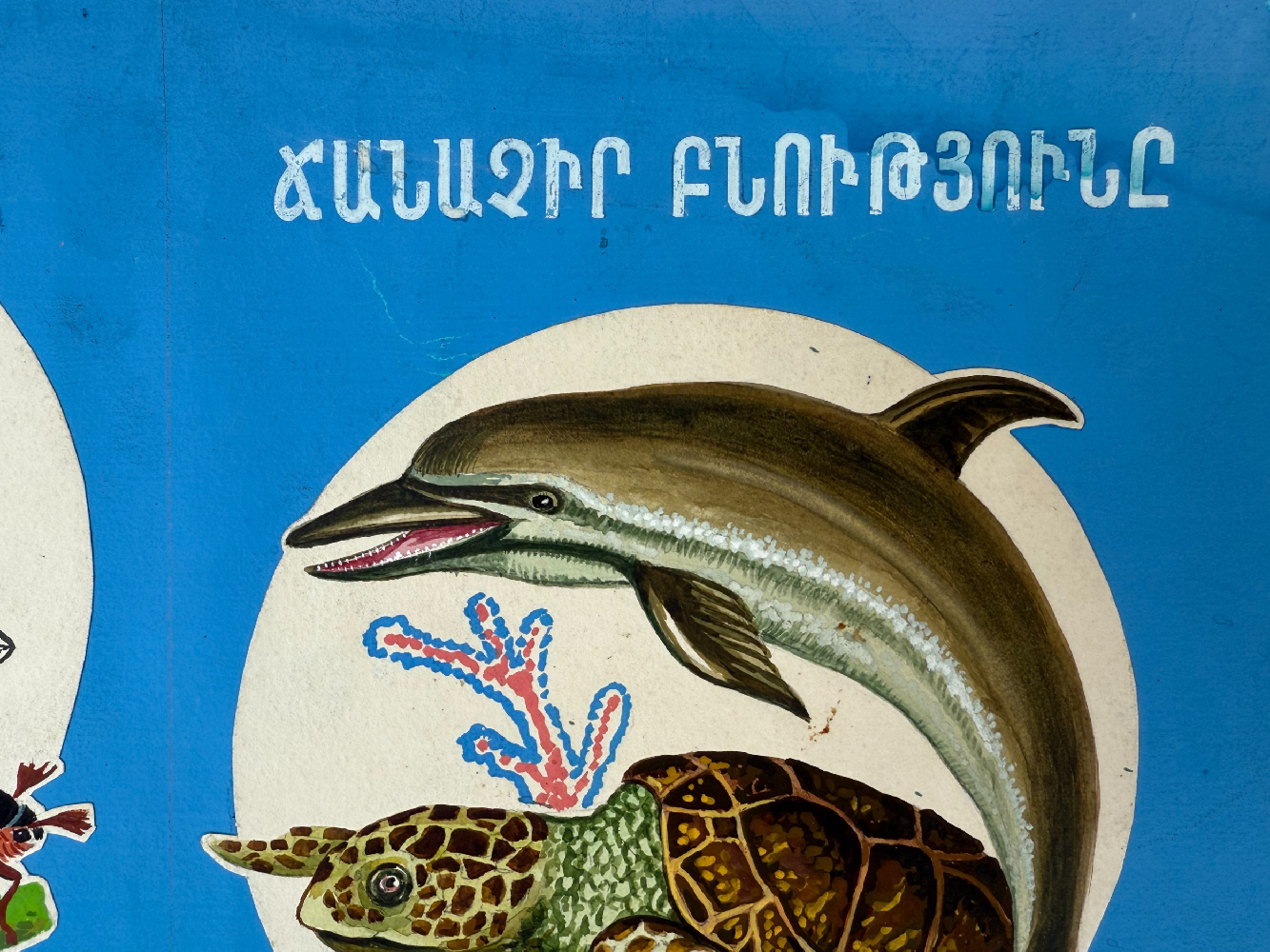 Кажоян Ваган Аветикович. Нет названия