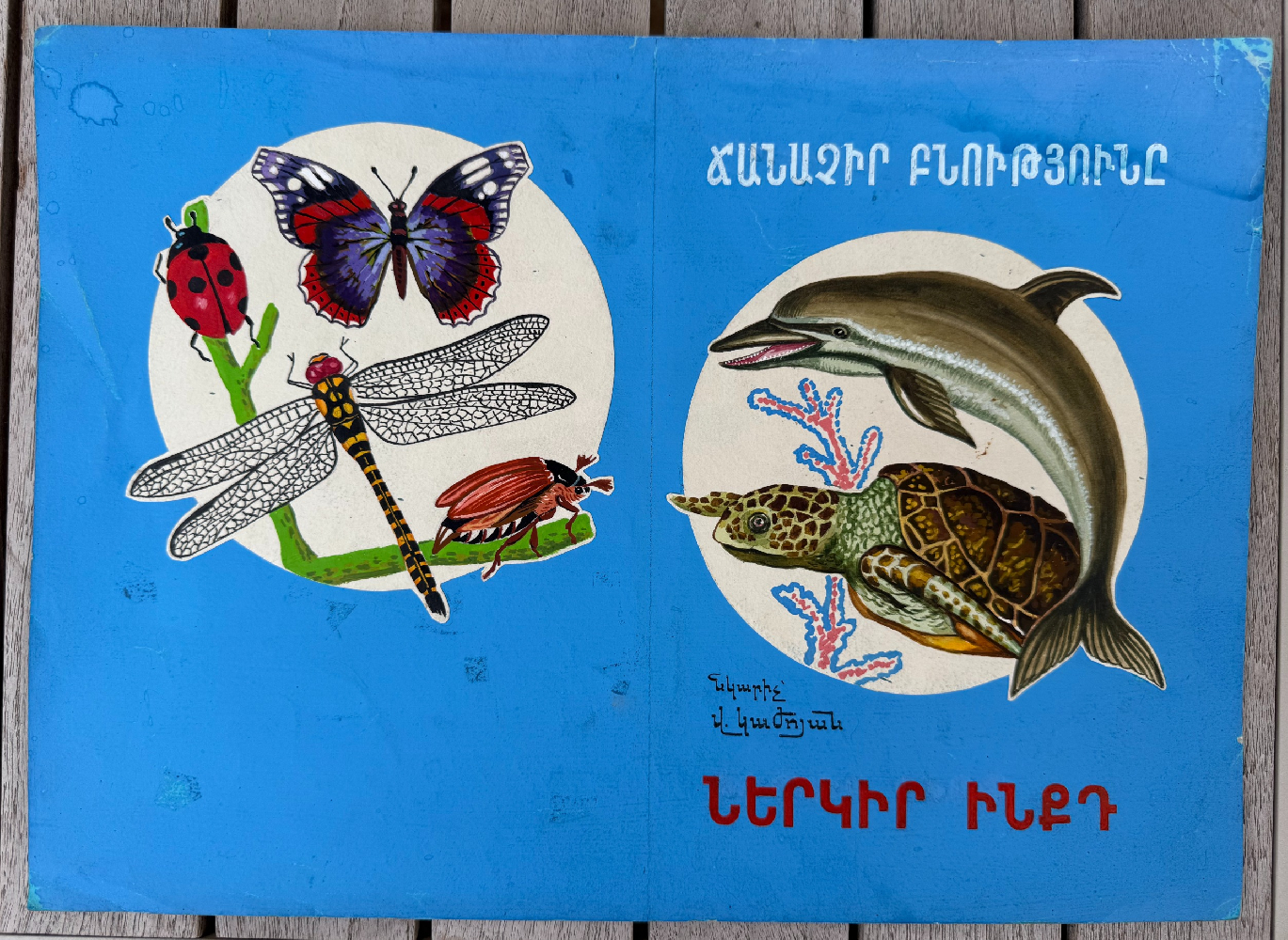 Кажоян Ваган Аветикович. Нет названия