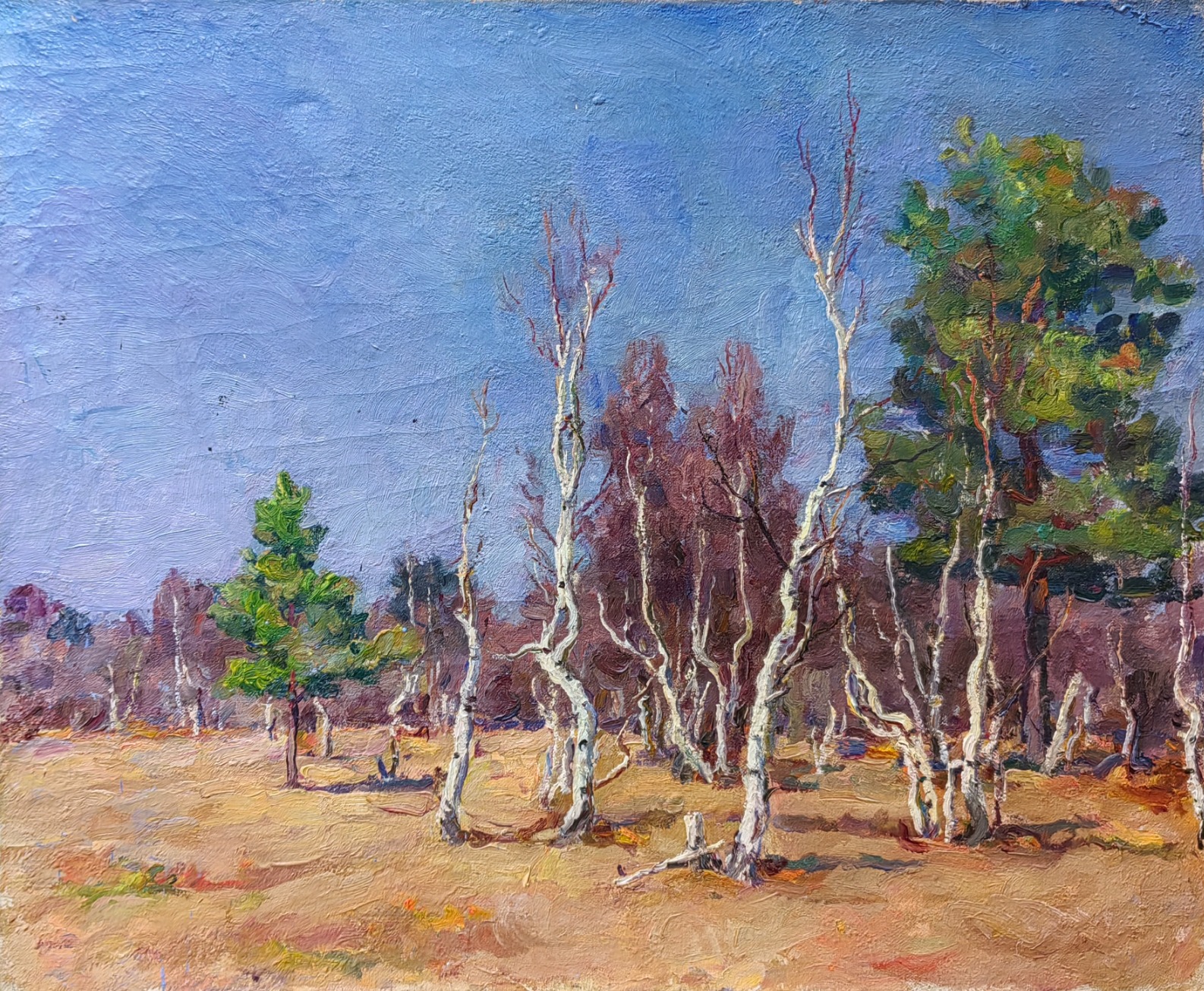 Кончаловский Михаил Петрович. Ранняя весна