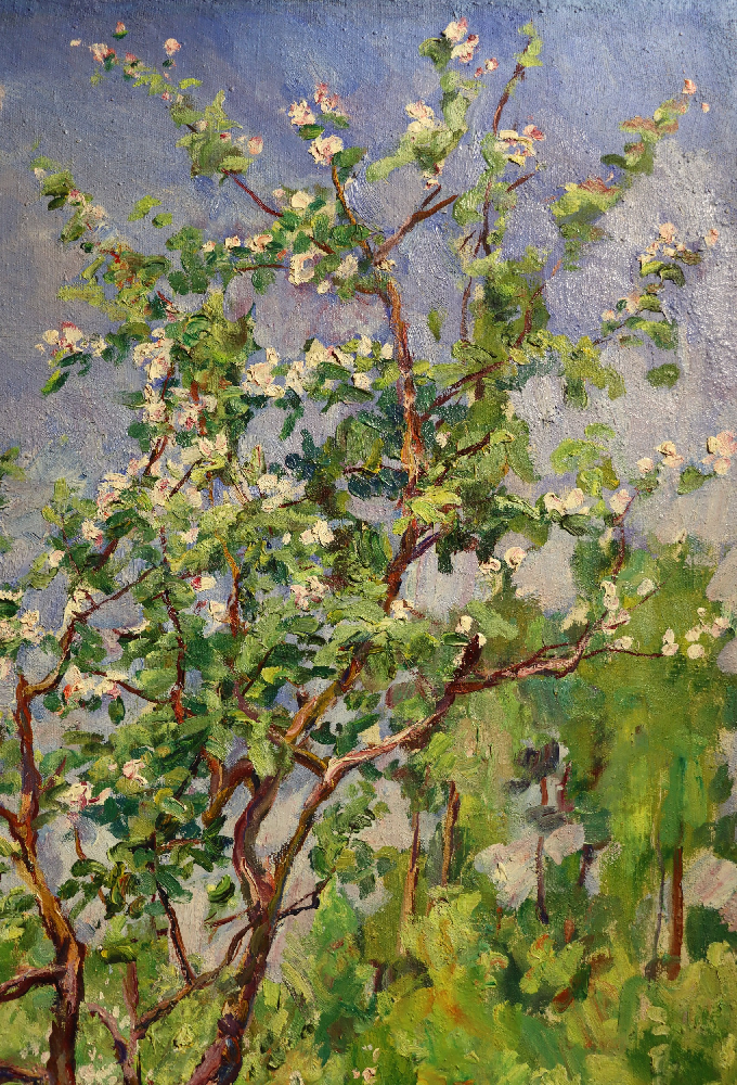 Кончаловский Михаил Петрович. Цветущий сад
