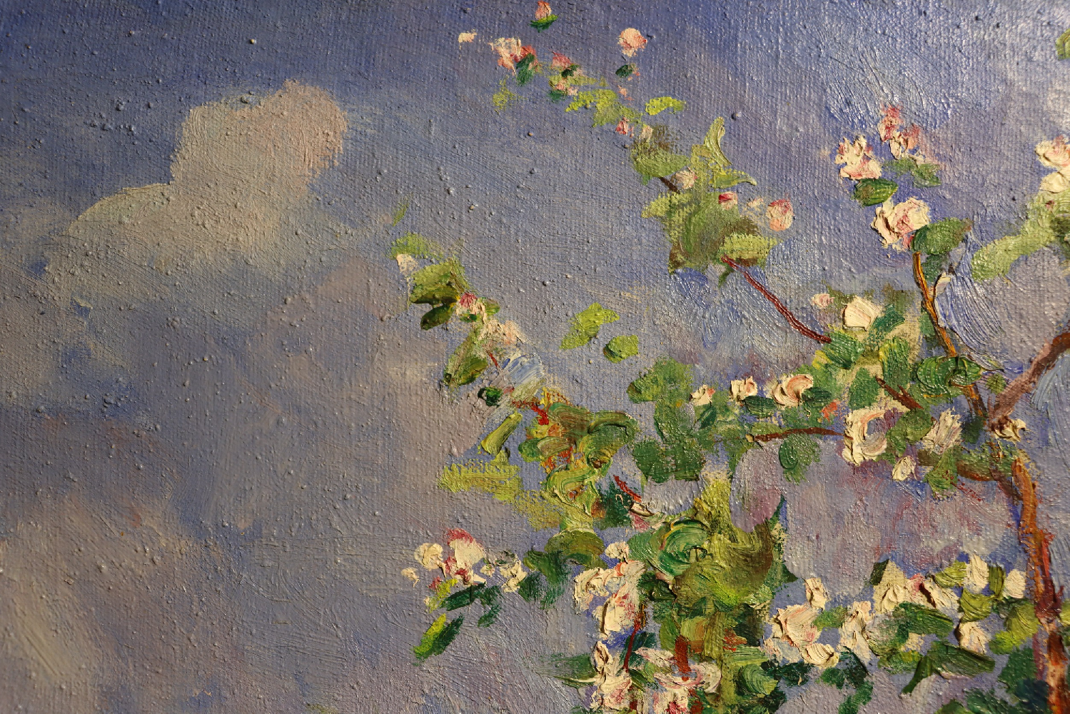 Кончаловский Михаил Петрович. Цветущий сад