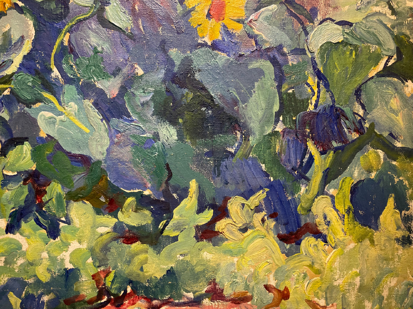 Кончаловский Михаил Петрович. Подсолнухи