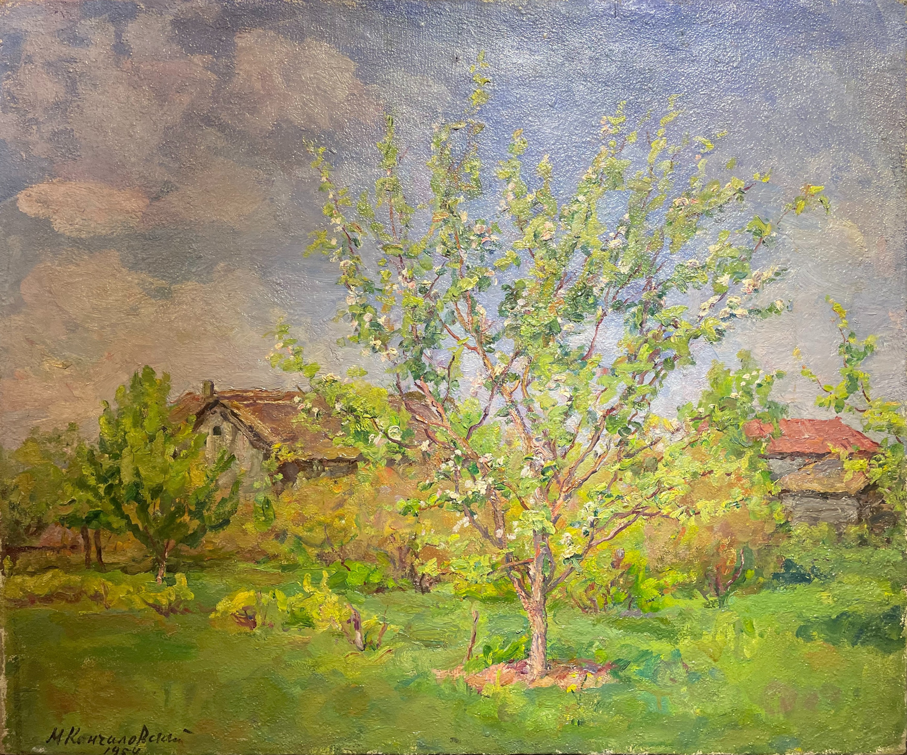 Кончаловский Михаил Петрович. Цветущая яблоня